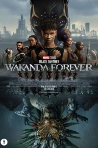 Black Panther 2: Wakanda Forever (2022)